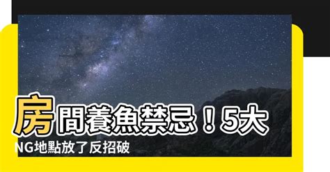 房間養魚破財|發大財不再是口號！養魚招財撇步學以致用